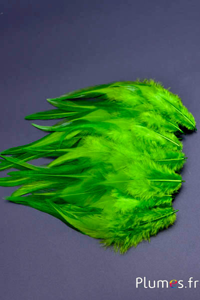 Coq - 8-12 cm - lime